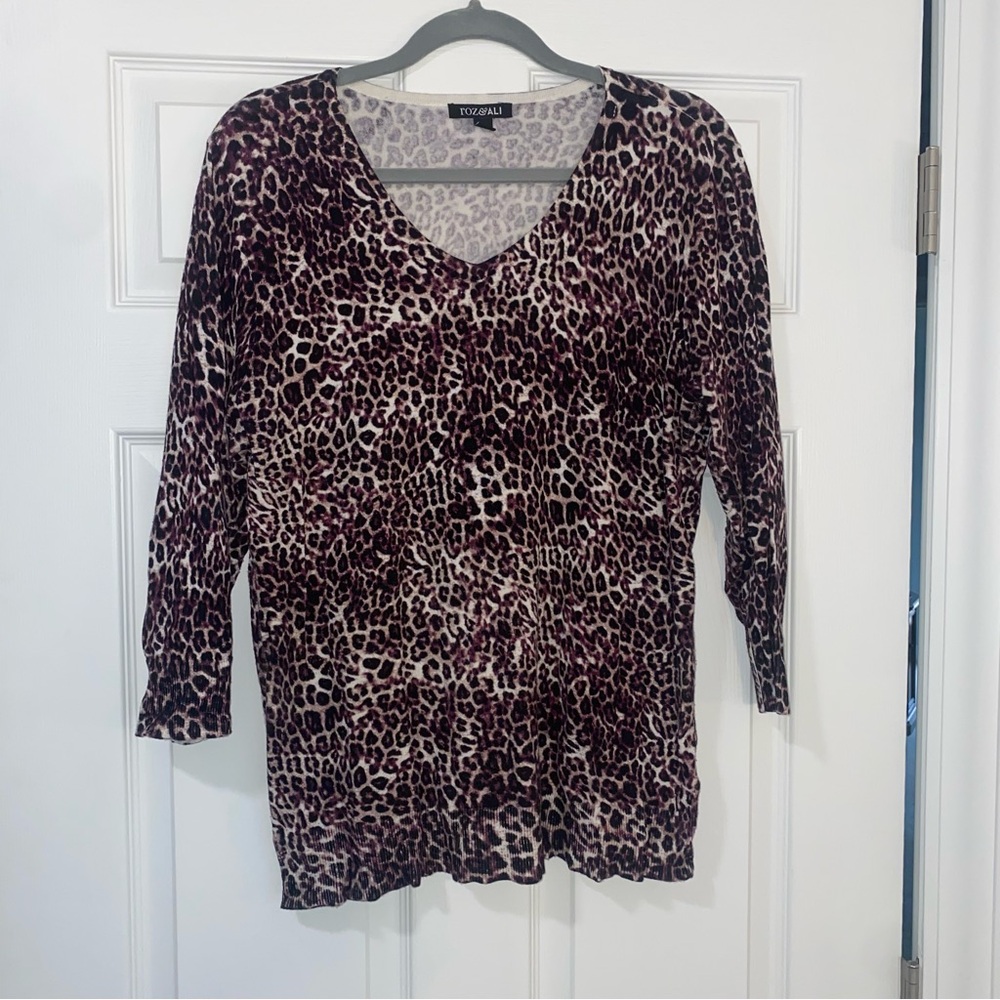 Roz & Ali Leopard Print V-Neck Top